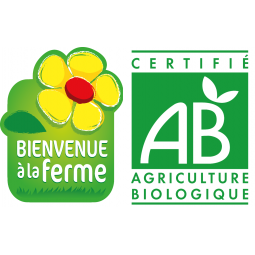 Les jardins des coccinelles*