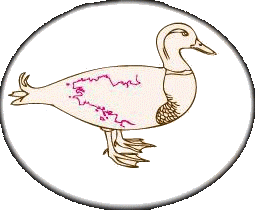 Délices du pré vert Johan Mariau