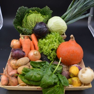 Panier de légumes de saison